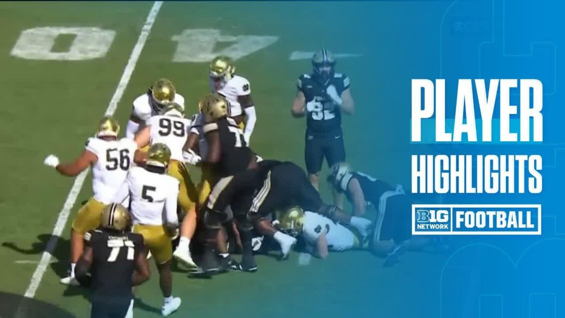 Reggie Love Highlights vs. Notre Dame | Purdue Football | 09/14/2024
