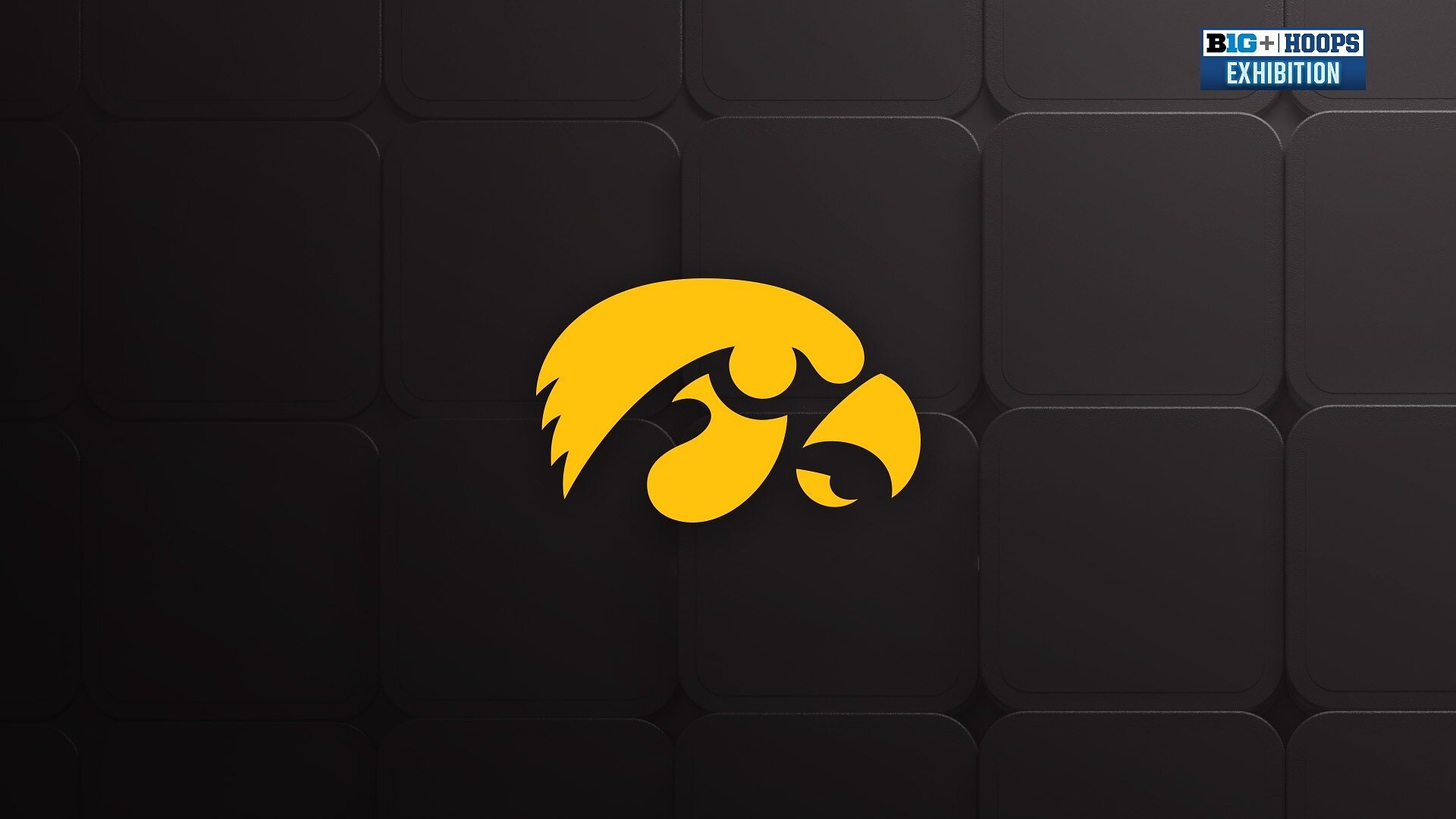 Exhibition: Illinois-Springfield at Iowa