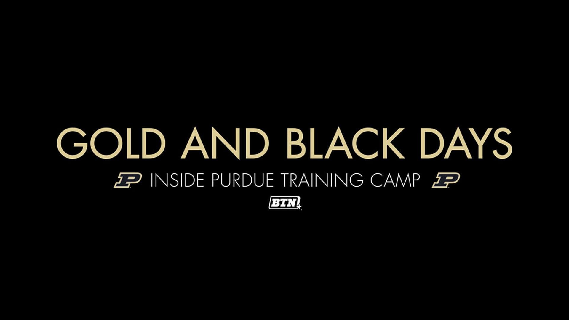 Gold & Black Days